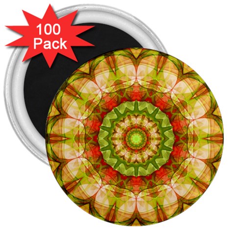 Red Green Apples Mandala 3  Button Magnet (100 pack) from ArtsNow.com Front