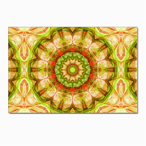 Red Green Apples Mandala Postcard 4 x 6  (10 Pack) from ArtsNow.com Front