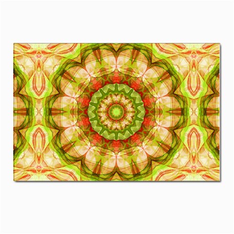 Red Green Apples Mandala Postcards 5  x 7  (10 Pack) from ArtsNow.com Front