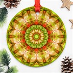 Red Green Apples Mandala Round Ornament (Two Sides)