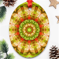 Red Green Apples Mandala Oval Ornament (Two Sides) from ArtsNow.com Front