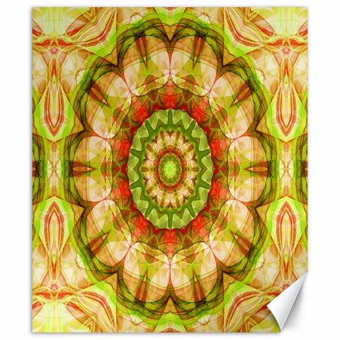 Red Green Apples Mandala Canvas 20  x 24  (Unframed) from ArtsNow.com 19.57 x23.15  Canvas - 1