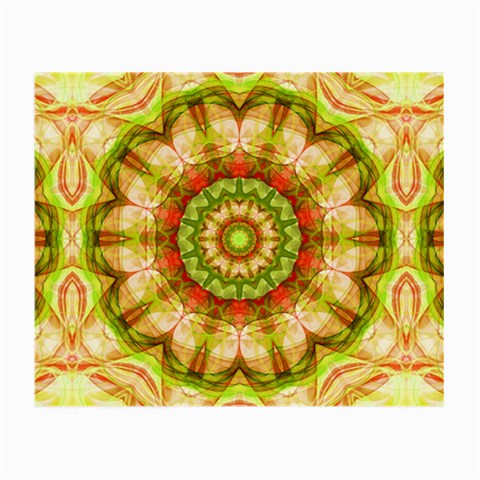 Red Green Apples Mandala Glasses Cloth (Small, Two Sided) from ArtsNow.com Front