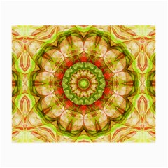 Red Green Apples Mandala Glasses Cloth (Small, Two Sided) from ArtsNow.com Front