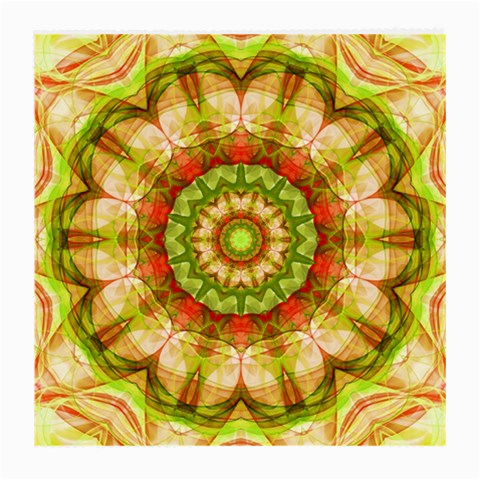 Red Green Apples Mandala Glasses Cloth (Medium) from ArtsNow.com Front