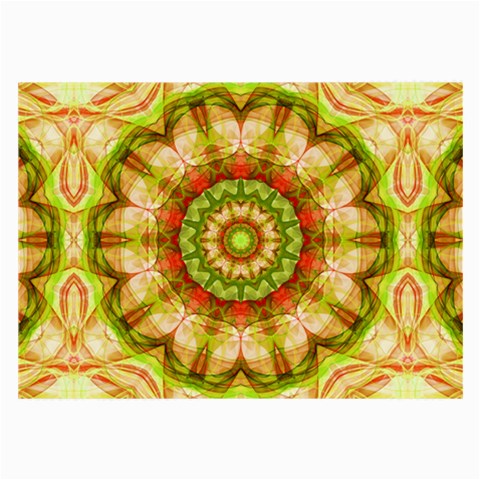 Red Green Apples Mandala Glasses Cloth (Large, Two Sided) from ArtsNow.com Back