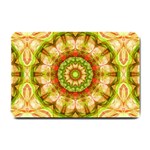 Red Green Apples Mandala Small Door Mat