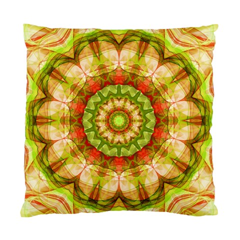 Red Green Apples Mandala Cushion Case (Single Sided)  from ArtsNow.com Front