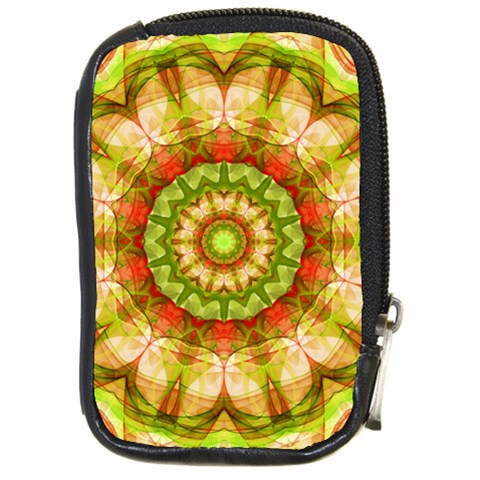 Red Green Apples Mandala Compact Camera Leather Case from ArtsNow.com Front