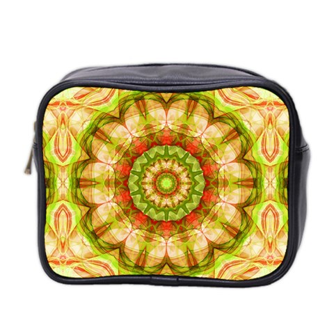 Red Green Apples Mandala Mini Travel Toiletry Bag (Two Sides) from ArtsNow.com Front