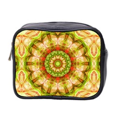 Red Green Apples Mandala Mini Travel Toiletry Bag (Two Sides) from ArtsNow.com Front