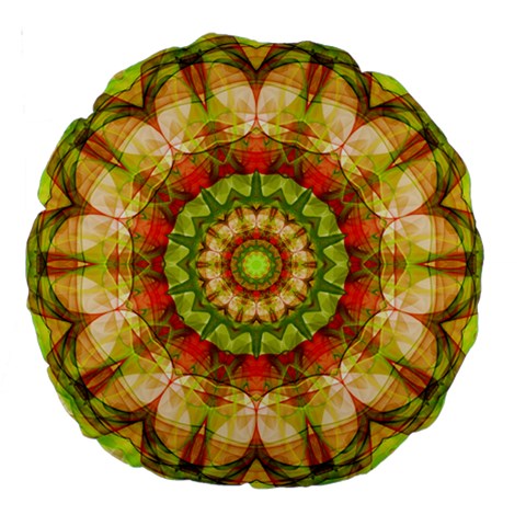 Red Green Apples Mandala 18  Premium Round Cushion  from ArtsNow.com Back