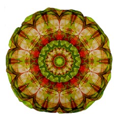 Red Green Apples Mandala 18  Premium Round Cushion  from ArtsNow.com Back