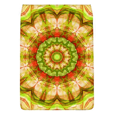 Red Green Apples Mandala Removable Flap Cover (Large) from ArtsNow.com Front