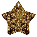 Grailcode2 Ornament (Star)