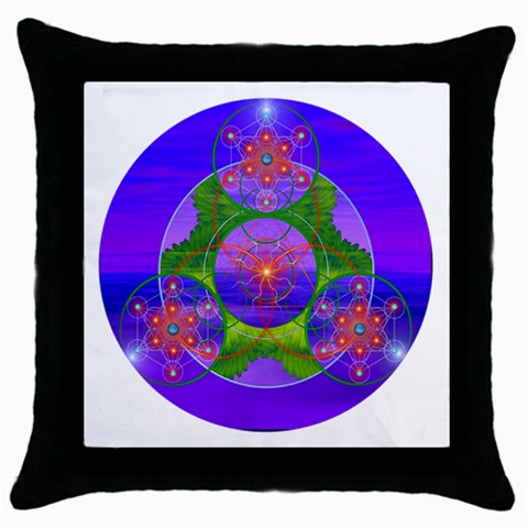 Grailcode3 Throw Pillow Case (Black) from ArtsNow.com Front