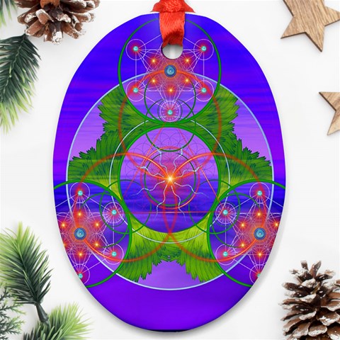 Grailcode3 Ornament (Oval) from ArtsNow.com Front