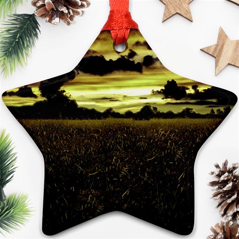 Dark Meadow Landscape  Star Ornament from ArtsNow.com Front