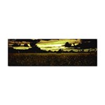 Dark Meadow Landscape  Bumper Sticker 10 Pack