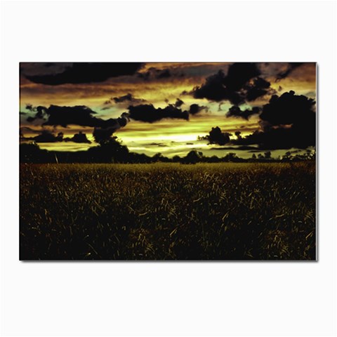 Dark Meadow Landscape  Postcard 4 x 6  (10 Pack) from ArtsNow.com Front