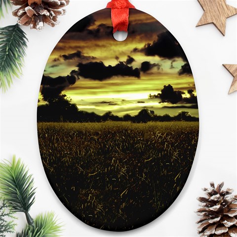 Dark Meadow Landscape  Oval Ornament (Two Sides) from ArtsNow.com Back