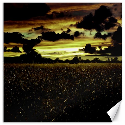 Dark Meadow Landscape  Canvas 12  x 12  (Unframed) from ArtsNow.com 11.4 x11.56  Canvas - 1