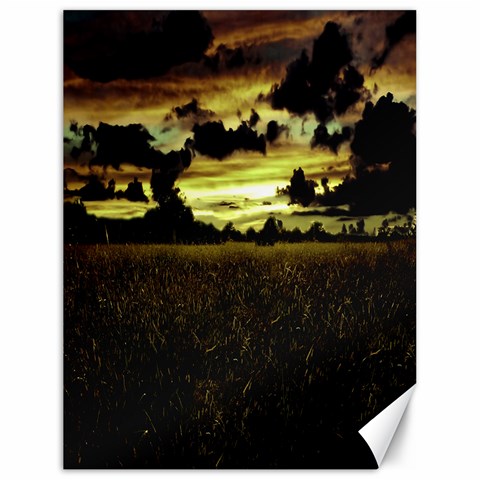 Dark Meadow Landscape  Canvas 18  x 24  (Unframed) from ArtsNow.com 17.8 x23.08  Canvas - 1