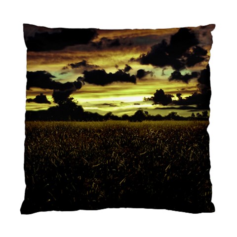 Dark Meadow Landscape  Cushion Case (Two Sided)  from ArtsNow.com Front