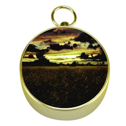 Dark Meadow Landscape  Gold Compass from ArtsNow.com Front