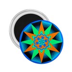 Polarity 2.25  Magnet