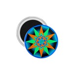 Polarity 1.75  Magnet