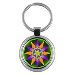 Polarity Key Chain (Round)