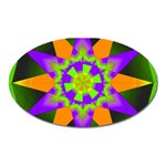 Polarity Magnet (Oval)