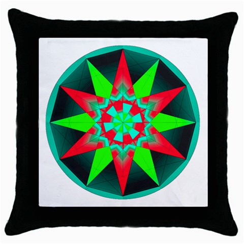 Polarity Throw Pillow Case (Black) from ArtsNow.com Front