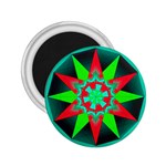 Polarity 2.25  Magnet