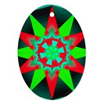 Polarity Ornament (Oval)