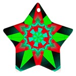 Polarity Ornament (Star)