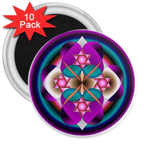 Sacred Heart 3  Magnet (10 pack) from ArtsNow.com Front