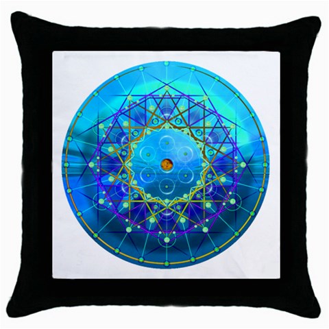 Synchronicity Throw Pillow Case (Black) from ArtsNow.com Front