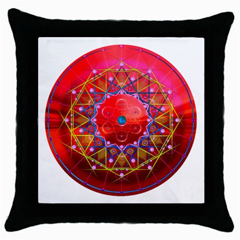 Synchronicity Throw Pillow Case (Black) from ArtsNow.com Front