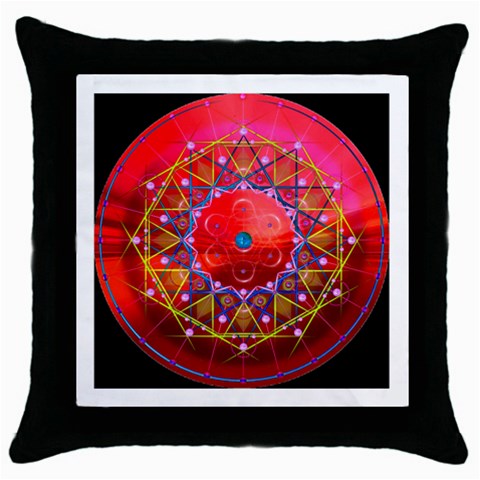 Synchronicity Throw Pillow Case (Black) from ArtsNow.com Front