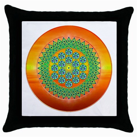 Transcendence Throw Pillow Case (Black) from ArtsNow.com Front