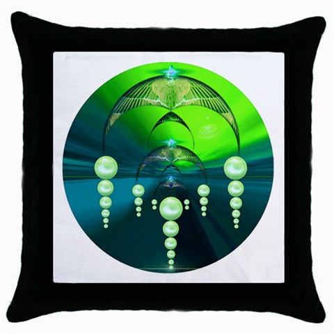 Transition Throw Pillow Case (Black) from ArtsNow.com Front