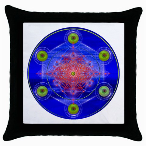 Truth Throw Pillow Case (Black) from ArtsNow.com Front