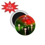 Transition 1.75  Magnet (10 pack) 