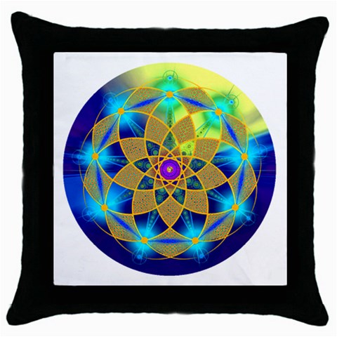 Unconditionality Throw Pillow Case (Black) from ArtsNow.com Front