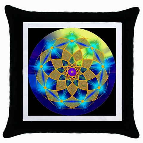 Unconditionality Throw Pillow Case (Black) from ArtsNow.com Front