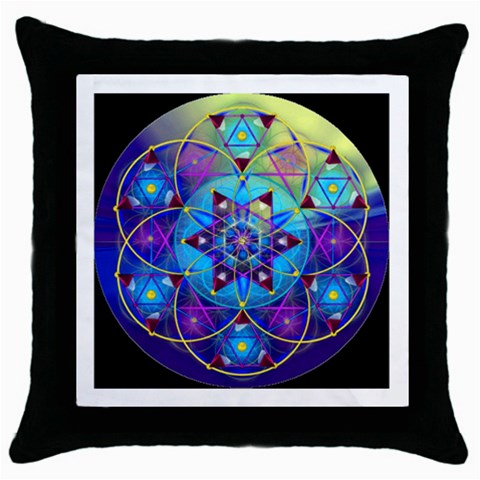 Wisdom Throw Pillow Case (Black) from ArtsNow.com Front