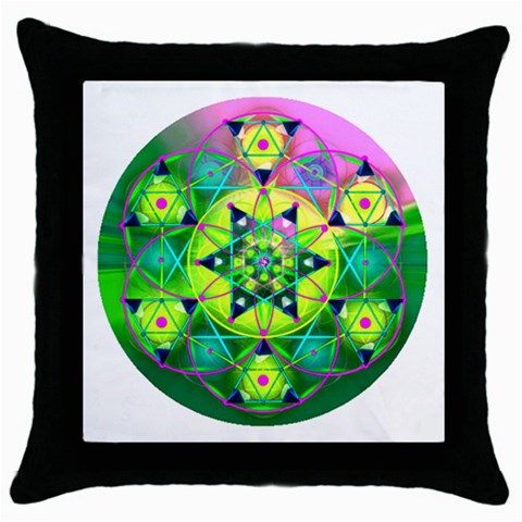 Wisdom Throw Pillow Case (Black) from ArtsNow.com Front