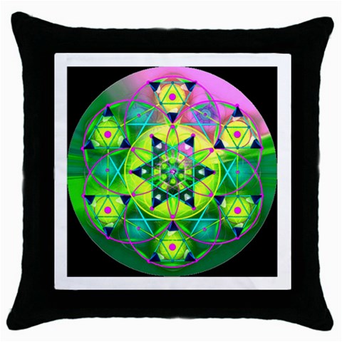 Wisdom Throw Pillow Case (Black) from ArtsNow.com Front